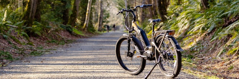 Czy rowery elektryczne można kupić tanio?